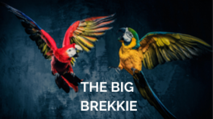 Big Brekkie Birds small